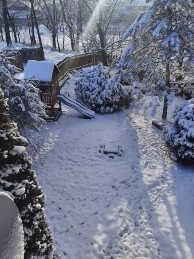 Willa Colt De Rai Bran  Zewnętrze zdjęcie