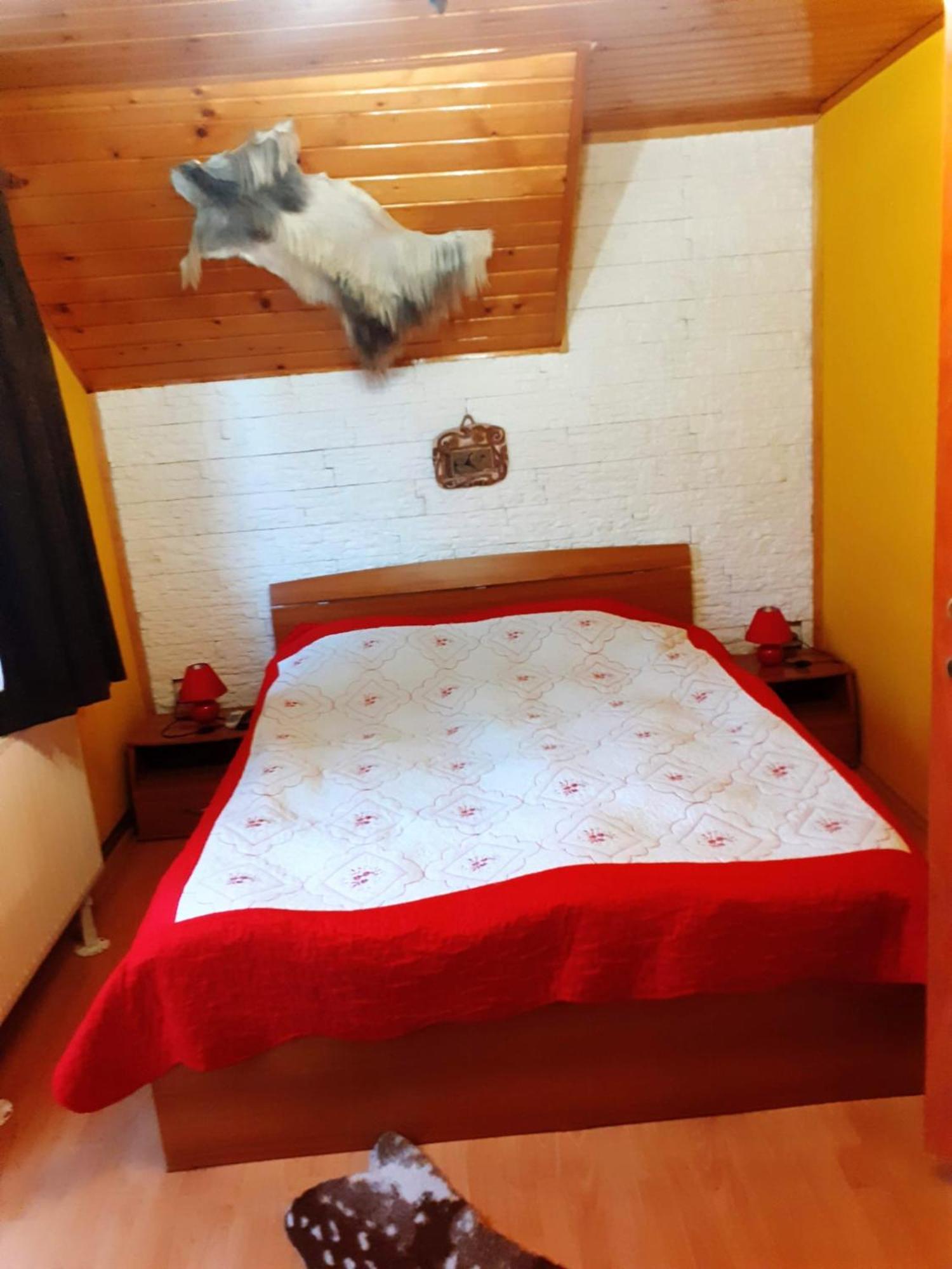 Willa Colt De Rai Bran  Zewnętrze zdjęcie
